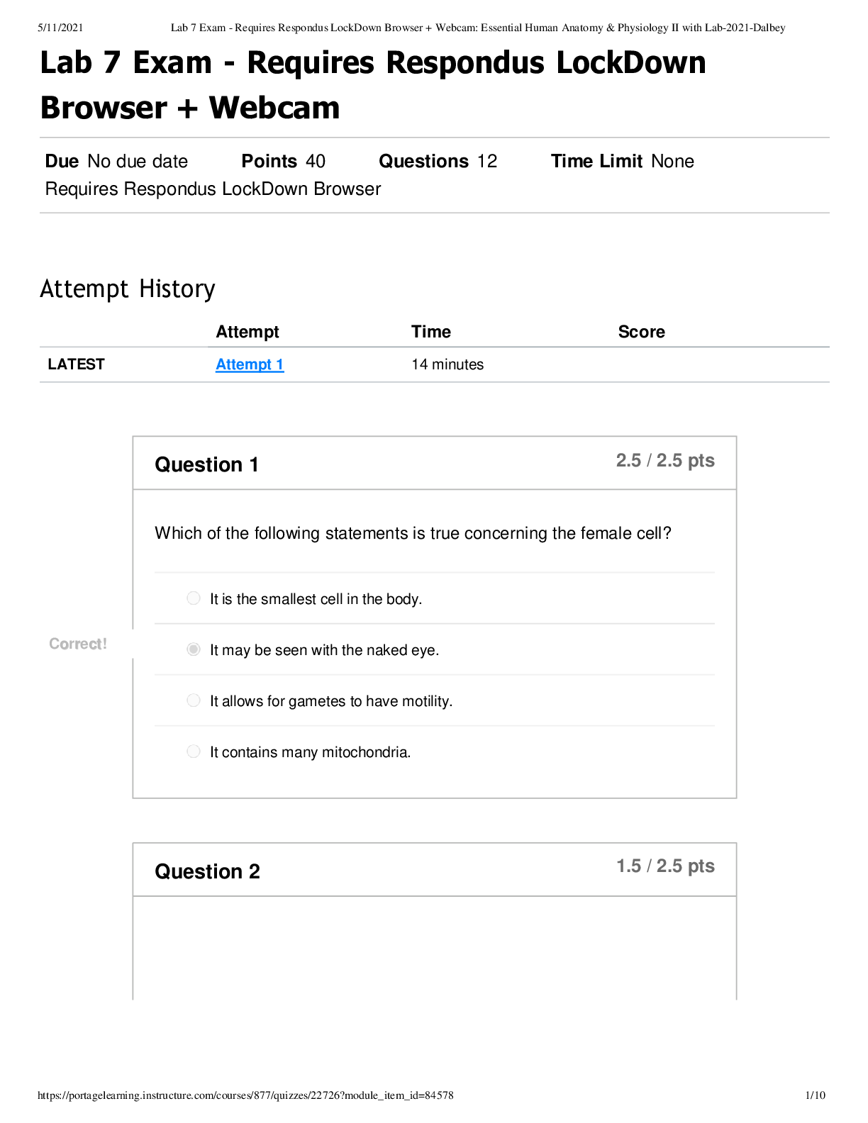 document-preview